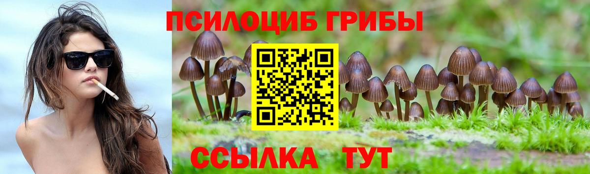 Галлюциногенные грибы Cubensis Кстово